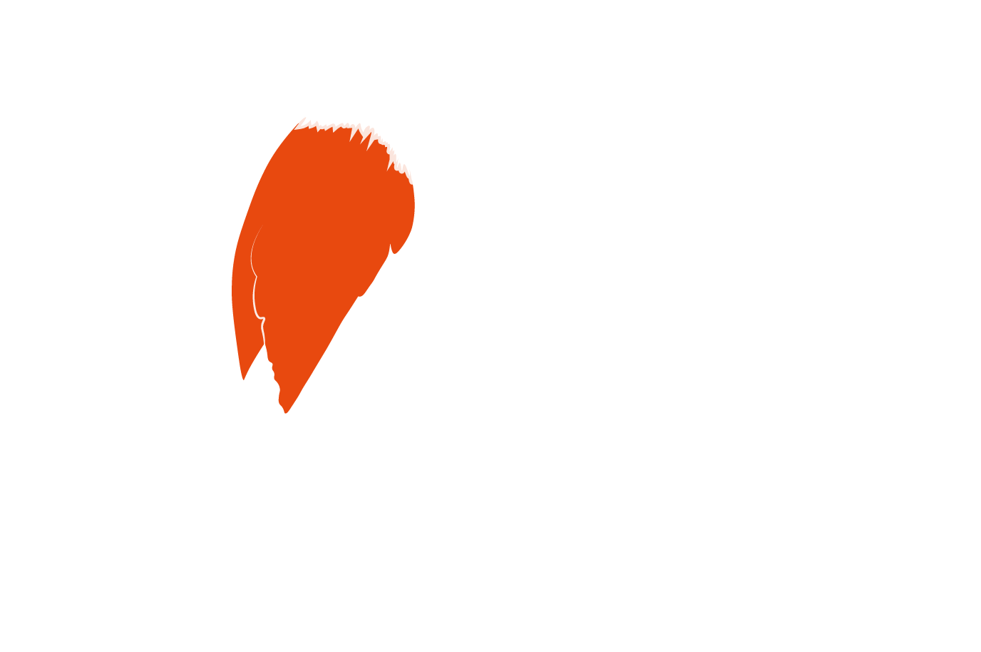 MONJO LLC