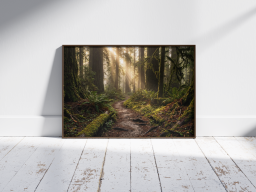 Mystic Redwood Sanctuary | Premium Digital Download Wall Art